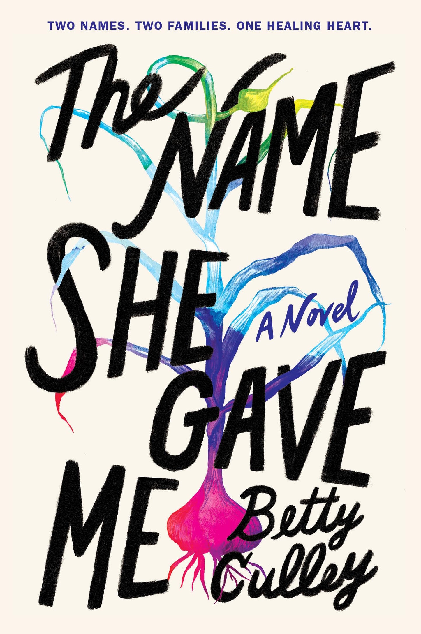 The Name She Gave Me by Betty Culley